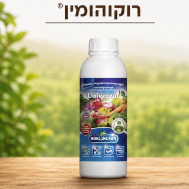 רוקוהומין