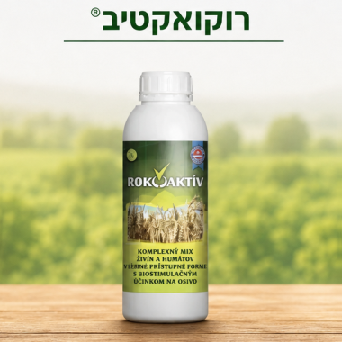 רוקואקטיב